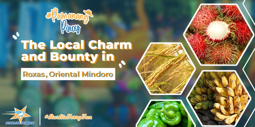 The Local Charm and Bounty in Roxas, Oriental Mindoro