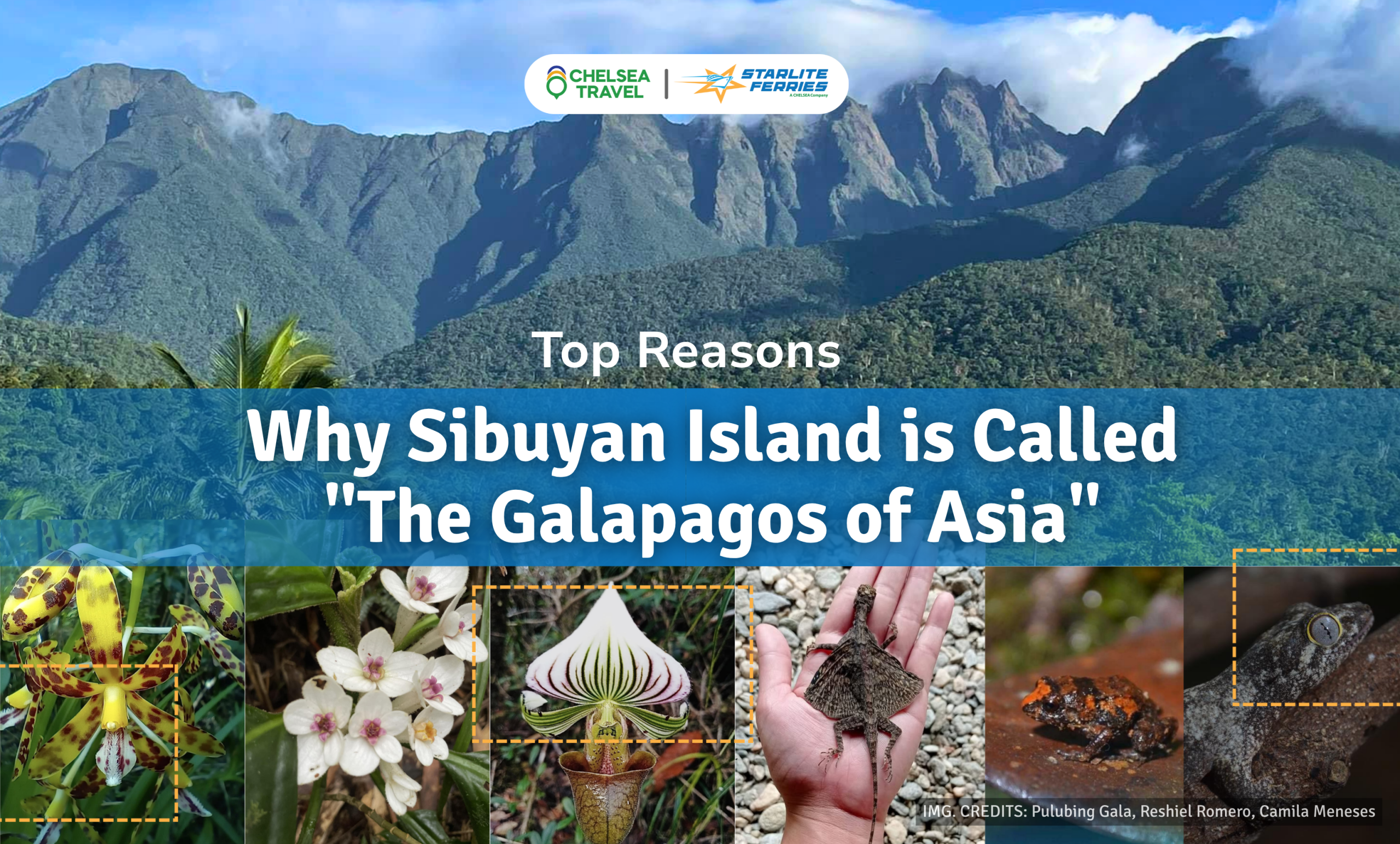Top Reasons Why Sibuyan Island is Called “The Galapagos of Asia”